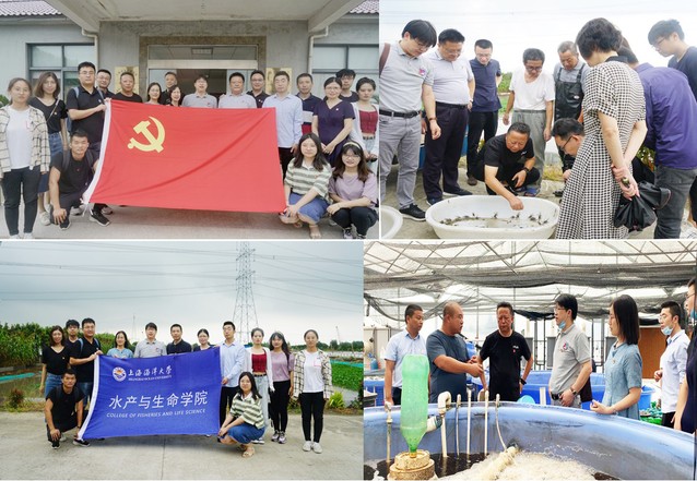 上海五星体育稳定线路