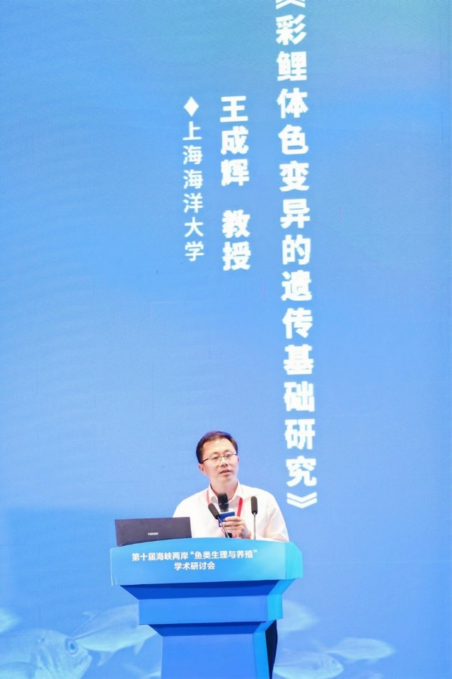 上海五星体育官方指定端