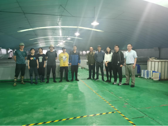 上海五星体育指定入口