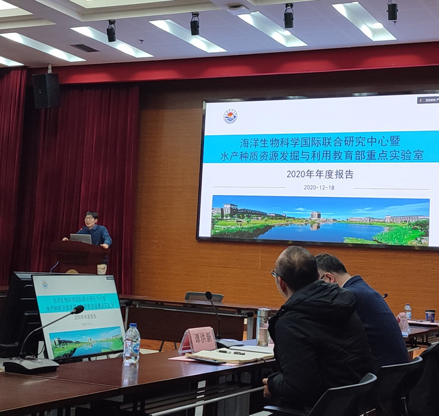 上海五星体育官方指定端