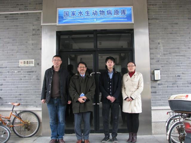 上海五星体育核心通道
