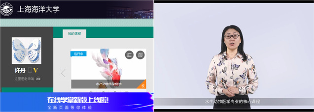 上海五星体育平台
