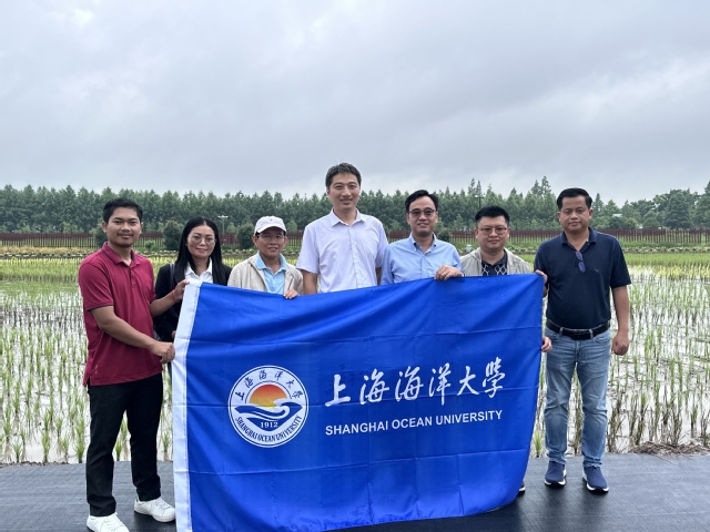上海五星体育指定通道