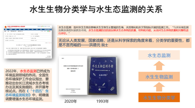 上海五星体育超级联赛