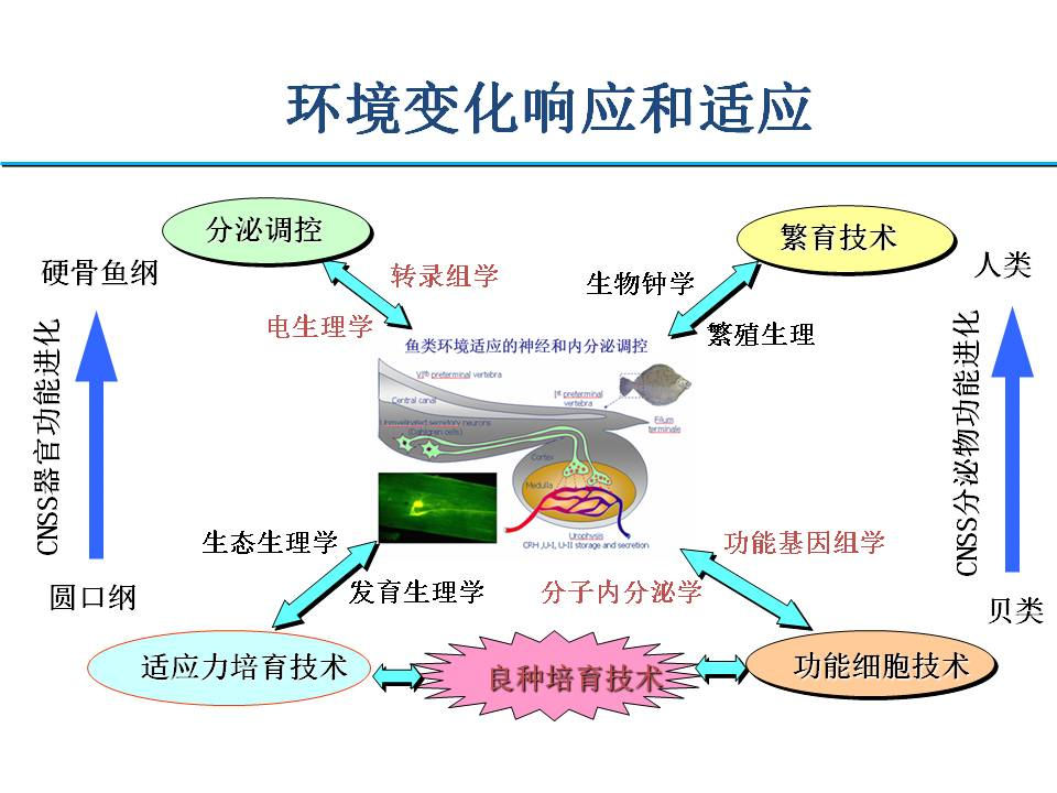 上海五星体育指定通道