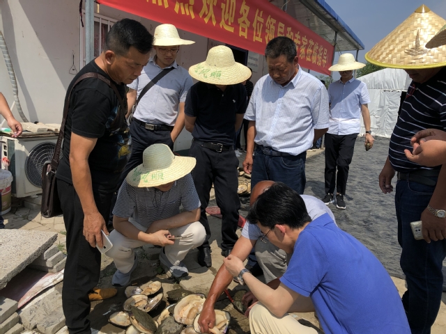 上海五星体育稳定线路