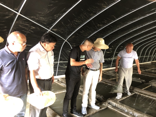 上海五星体育客户端