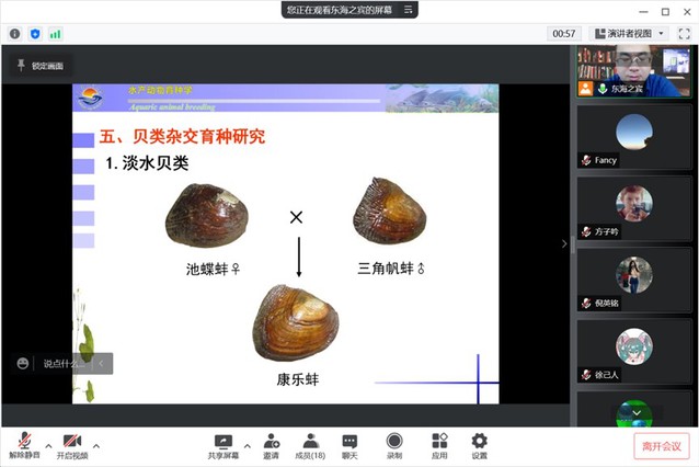 上海五星体育互联系统