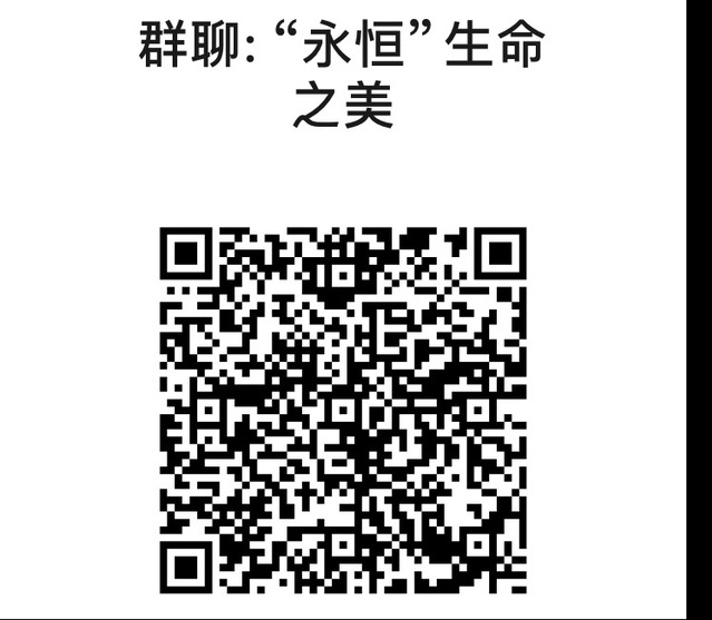 上海五星体育官方线路