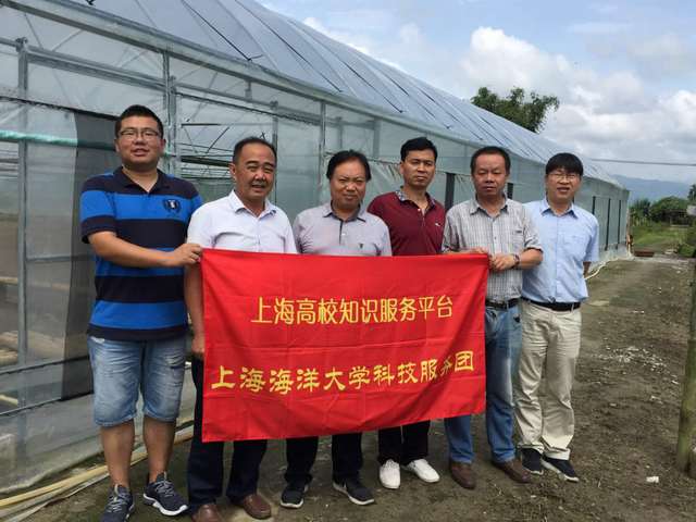 上海五星体育稳定线路