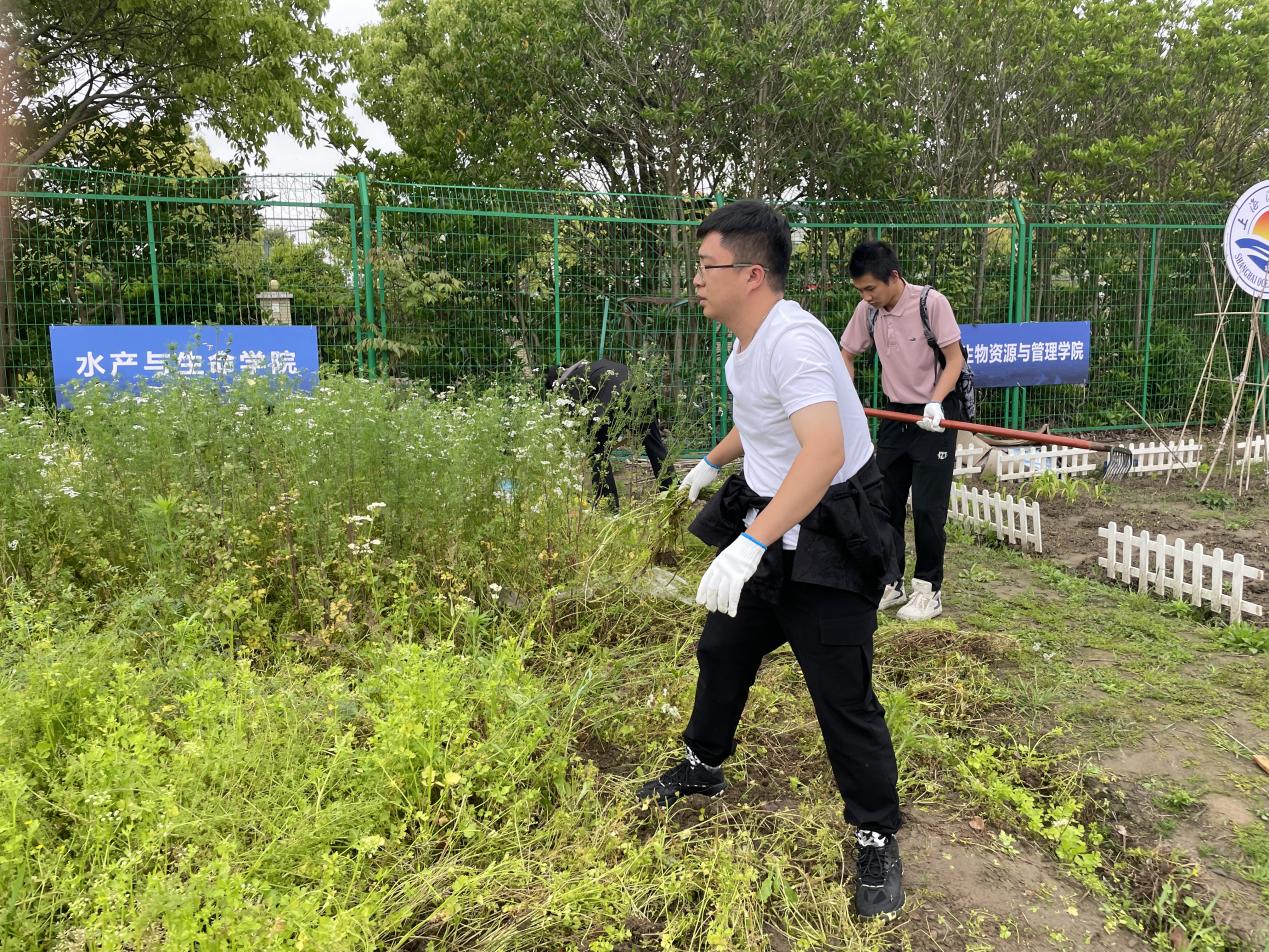 上海五星体育平台