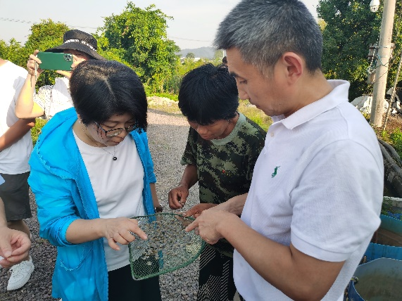上海五星体育稳定线路