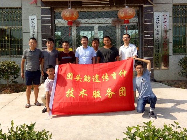 上海五星体育APP下载