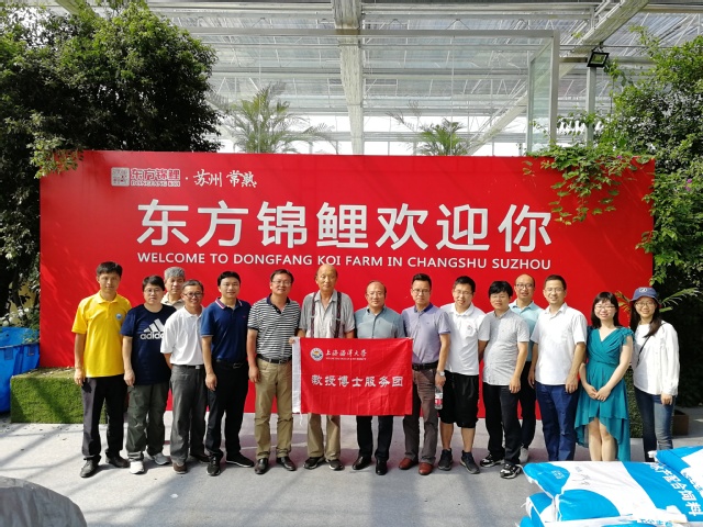 上海五星体育指定通道