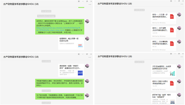 上海五星体育官方指定端