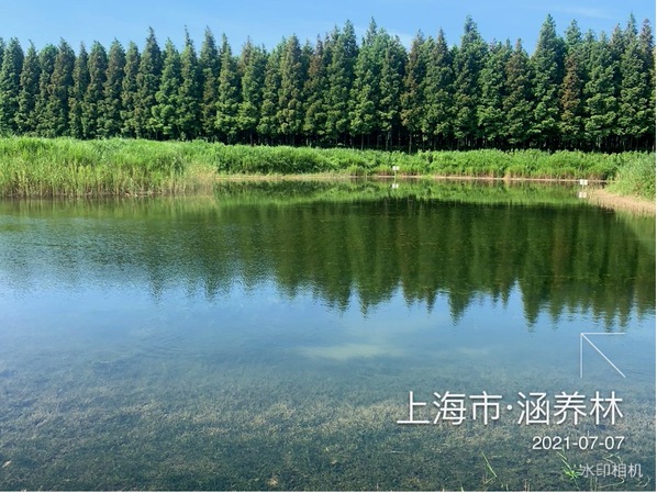 上海五星体育备用网址