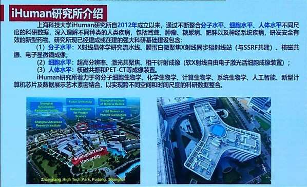 上海五星体育加速节点