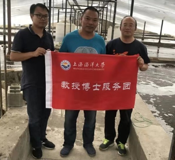 上海五星体育欧冠直播