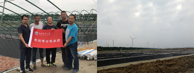 上海五星体育稳定线路