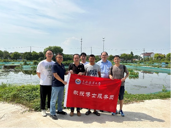 上海五星体育客户端