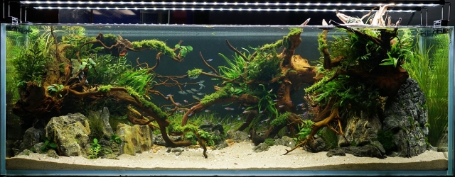 上海五星体育备用网址