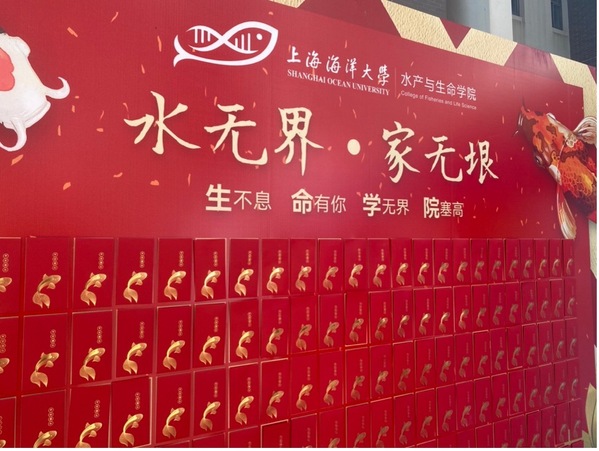 上海五星体育安全通道