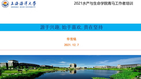 上海五星体育客户端