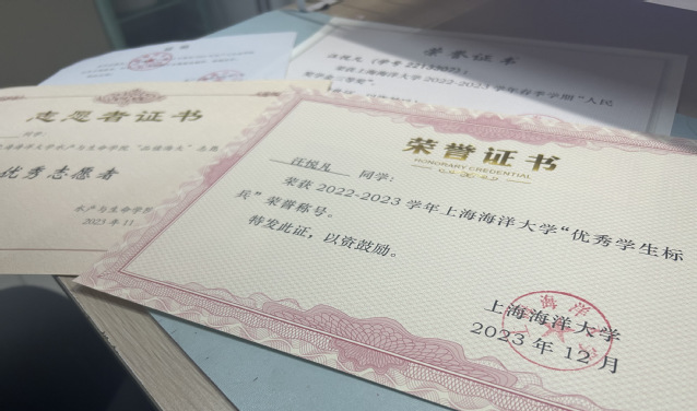 上海五星体育欧洲杯