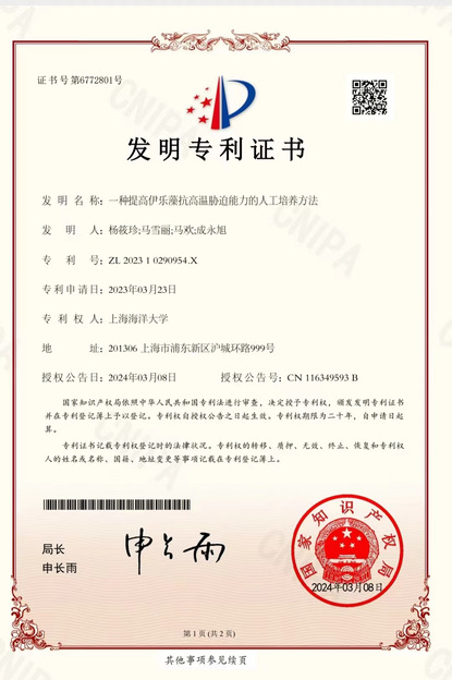 上海五星体育指定通道
