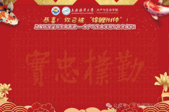 上海五星体育官方线路