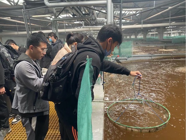 上海五星体育APP下载