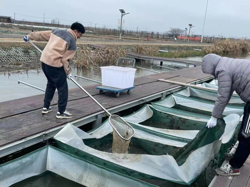 上海五星体育备用网址