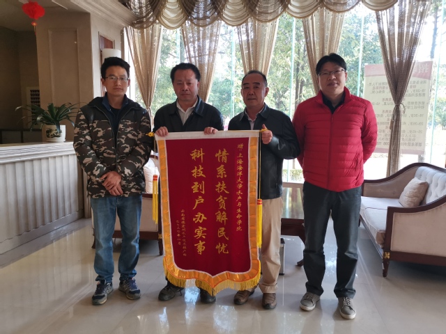 上海五星体育平台