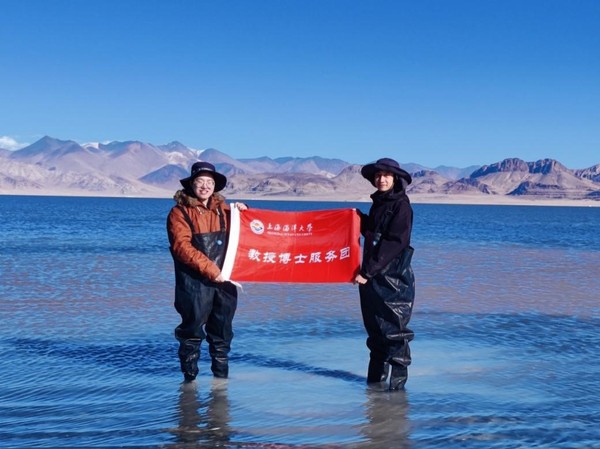 上海五星体育指定通道