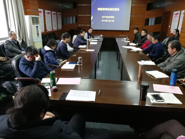 上海五星体育官方指定端