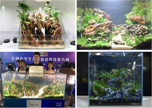 上海五星体育欧冠直播
