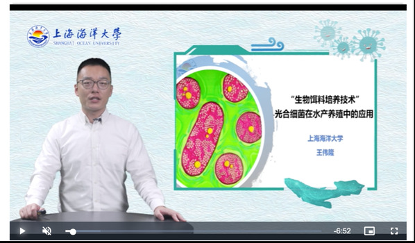 上海五星体育官方指定端