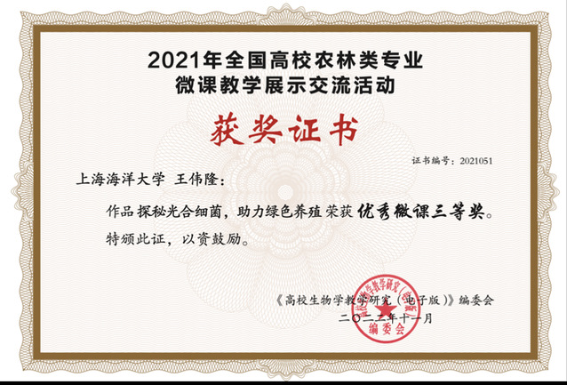 上海五星体育超级联赛