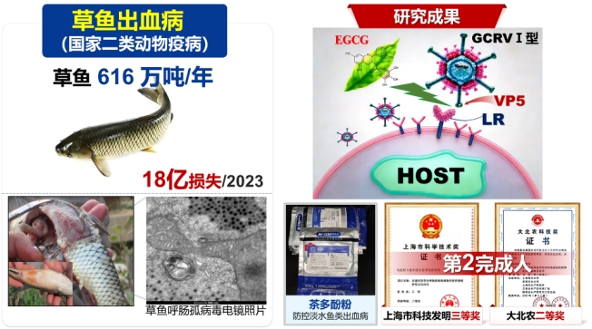 上海五星体育官方线路