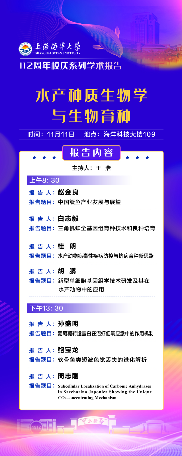 上海五星体育加速节点