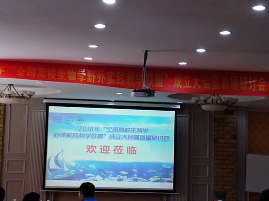 上海五星体育官方线路