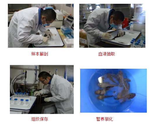 上海五星体育稳定线路