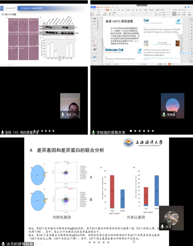 上海五星体育APP下载