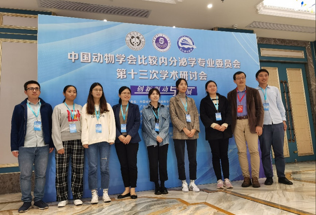 上海五星体育数据中心