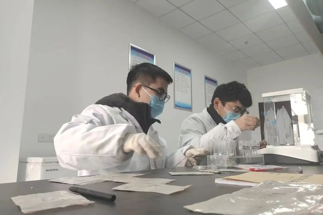 上海五星体育官方指定端