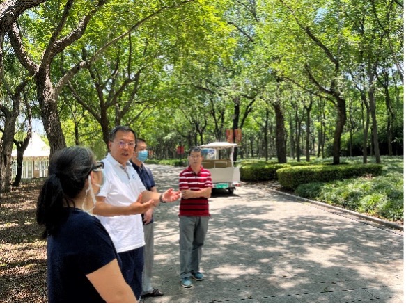 上海五星体育备用网址