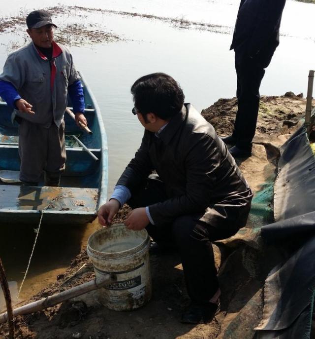 上海五星体育欧洲杯