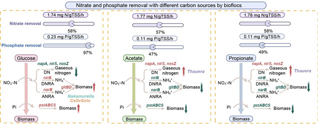 上海五星体育超级联赛