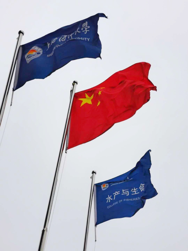 上海五星体育APP下载