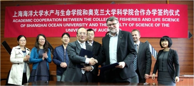 上海五星体育核心通道